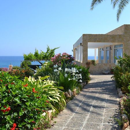 Aphrodite Beach Hotel Polis Kültér fotó