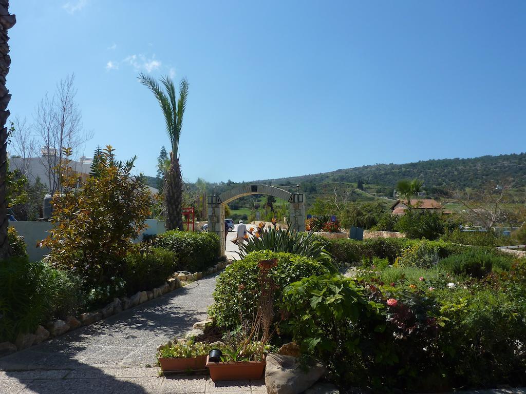 Aphrodite Beach Hotel Polis Kültér fotó