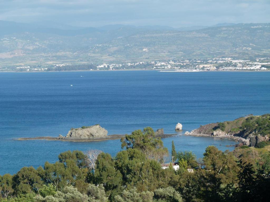 Aphrodite Beach Hotel Polis Kültér fotó
